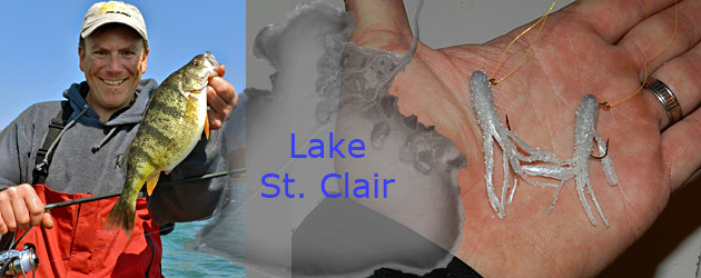 Open water opportunities abound for jumbo Lake St. Clair perch like this one caught by Joe Balog even if ice fishing isn't an option. The tandem rig doubles your odds of targeting big perch.