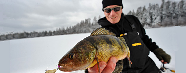 Pro angler Joe Balog with a late ice jumbo yellow perch from Lake St. Clair. Photo Credit: Millennium Promotions, Inc.