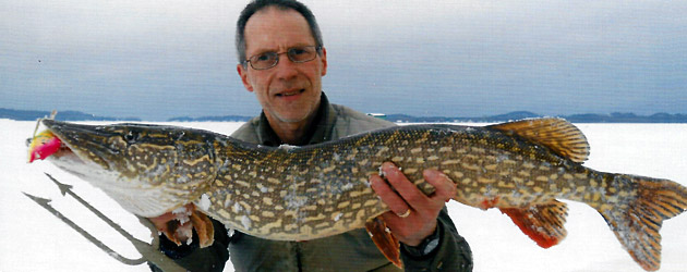 Expand your ice season with pike spearing like this big Northern Pike speared by J. Eric Johnson using a Bear Creek Electric Chicken Decoy