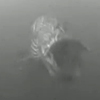Big Northern pike underwater strikes PikeKilla lure ice fishing