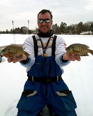 Raymond Tiffany with two big bluegill caught while ice fishing with Skandia tungsten jigs