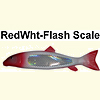 Red Head White Flash Scale Sucker Spearing Decoy 100