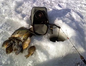 A mess of panfish on ice next to an ice fishing flasher