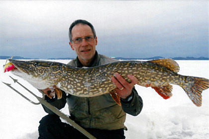 Expand your ice season with pike spearing like this big Northern Pike speared by J. Eric Johnson using a Bear Creek Electric Chicken Decoy