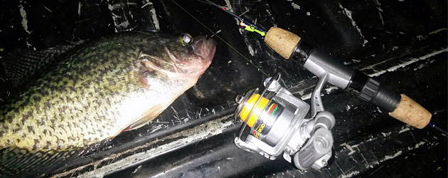Crappie with K&E Stopper rod and reel