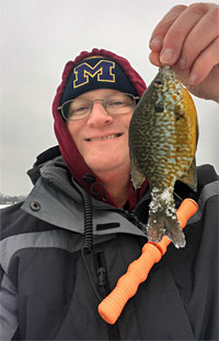 A decent pumpkinseed falls for an ice jig and mousie on Lake Lansing fishing through the ice