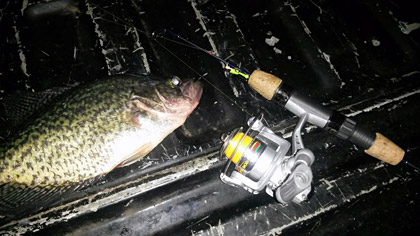Big crappies with a K&E Stopper ice fishing rod and reel