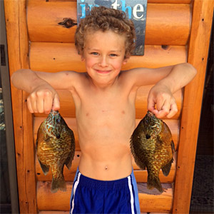 You can still find giant bluegills in the summer with these tips!